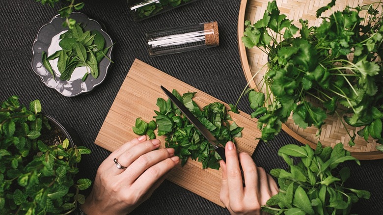 cook chopping various fresh herbs