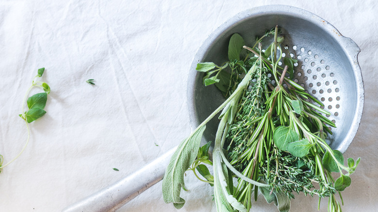 Fresh herbs in a colander