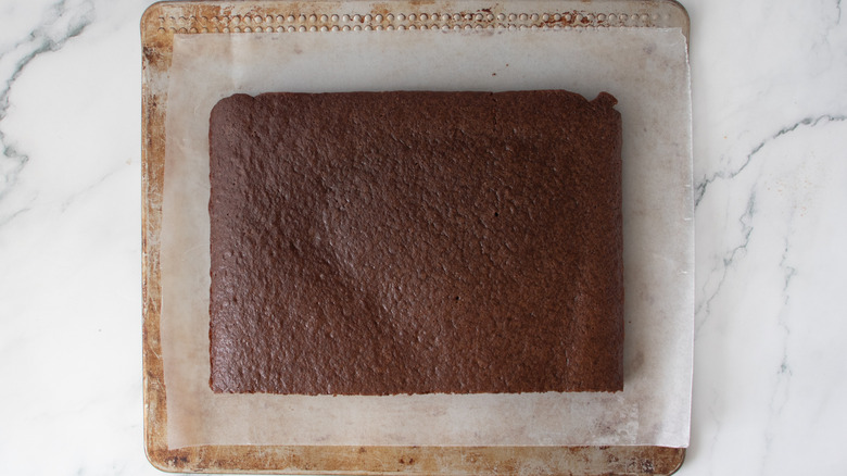 chocolate cake on a pan