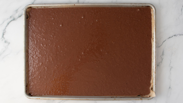 chocolate cake batter in a pan