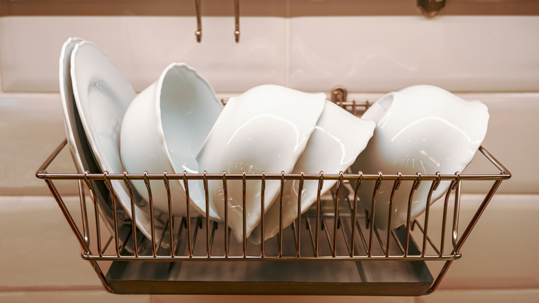 A scattering of plates and bowls rest in a wall-mounted dish rack to dry