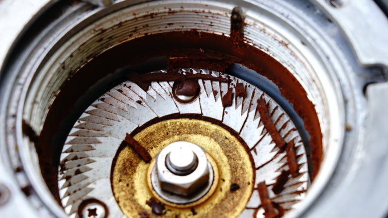 empty spice grinder before being cleaned
