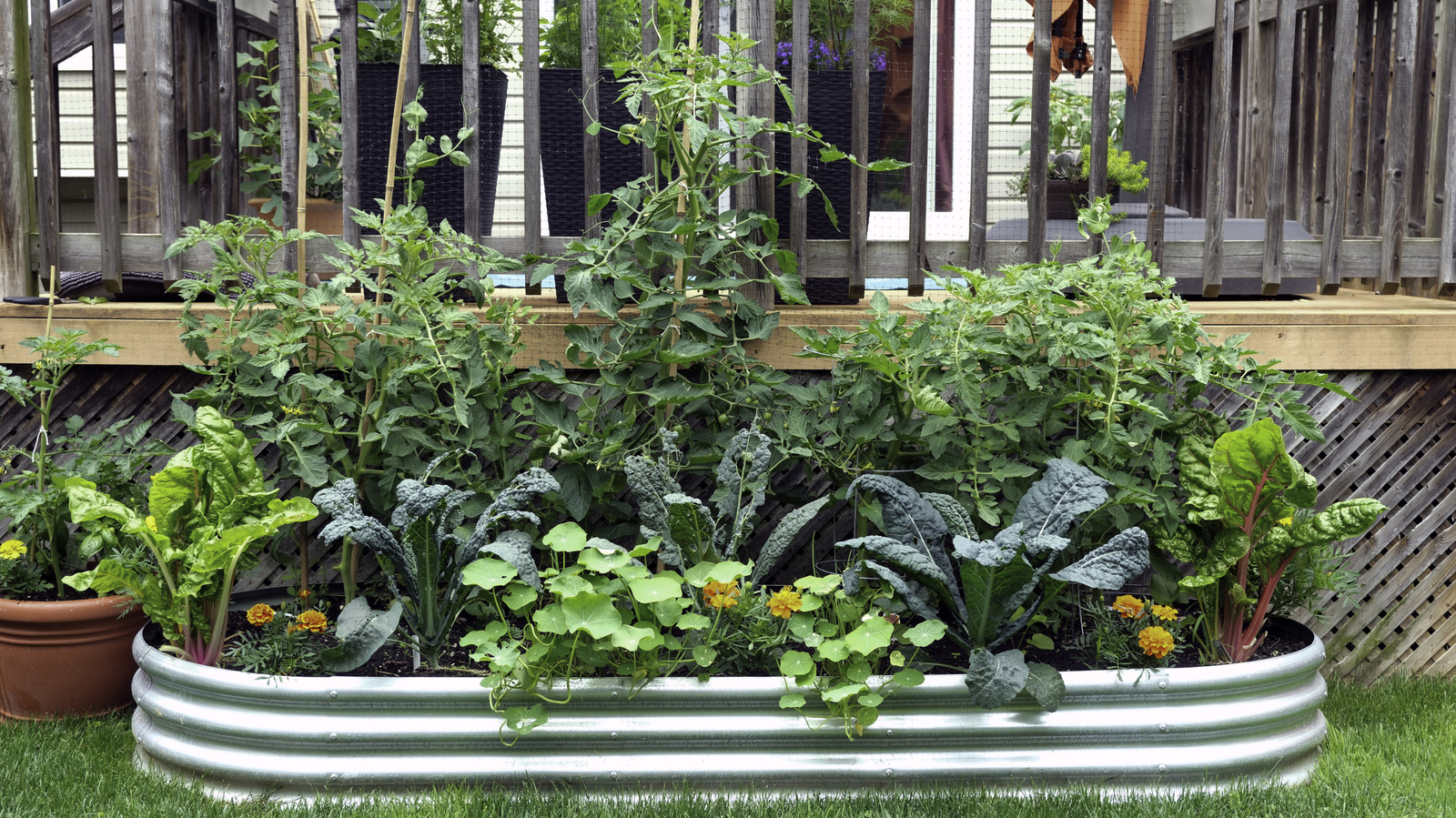 <a href="https://www.foodrepublic.com/2127713/plant-onions-early-spring-strong-summer-harvest/" target="_blank">The Common Vegetable You Should Plant Early For A Strong Summer Harvest</a>