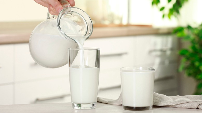 Pouring milk from jug into glasses