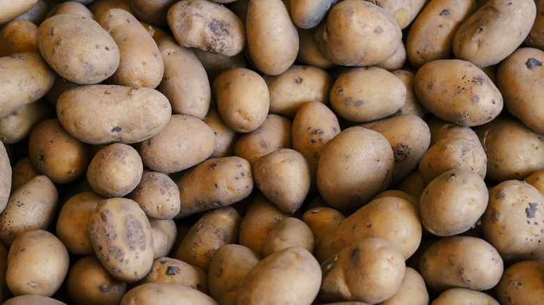 Potatoes in a pile