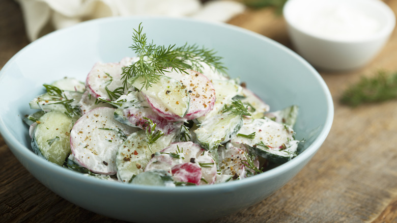A creamy radish and cucumber salad is topped with fresh dill and spices