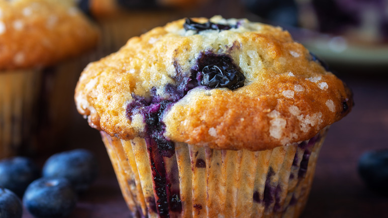Blueberry muffin surrounded by fresh blueberries