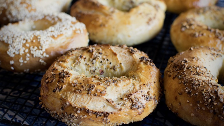 Montreal bagels