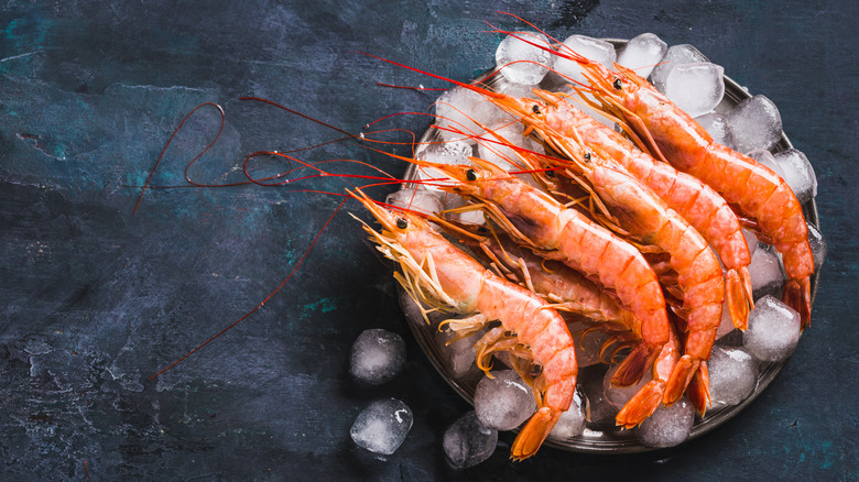 Cooked prawn with shells on laid on top of ice in a bowl
