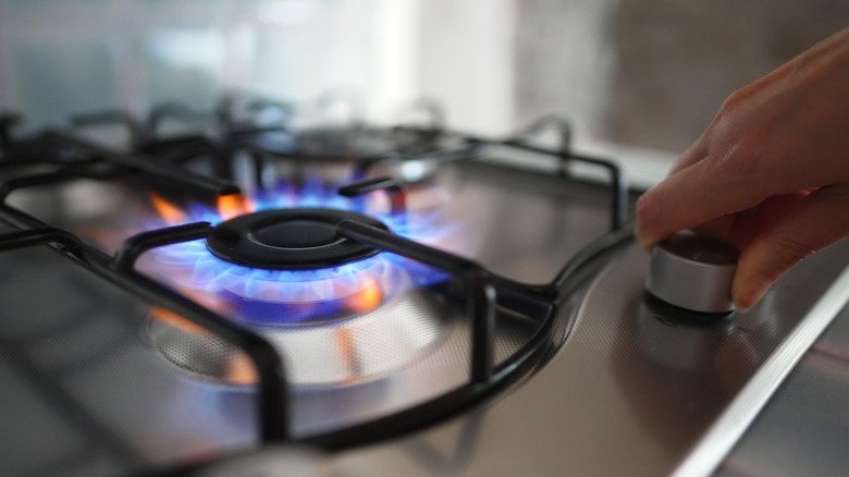 Hand igniting stove burner