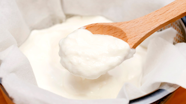 Wooden spoon in homemade yogurt