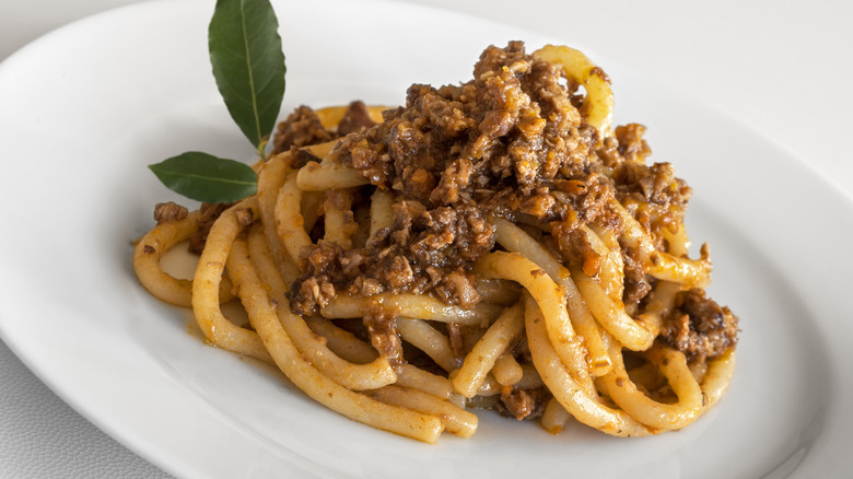 Thick spaghetti-like pici pasta on a white plate with meat sauce on it and a green herb sprig