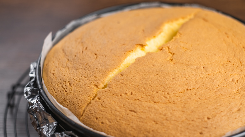 Cheesecake with cracked top