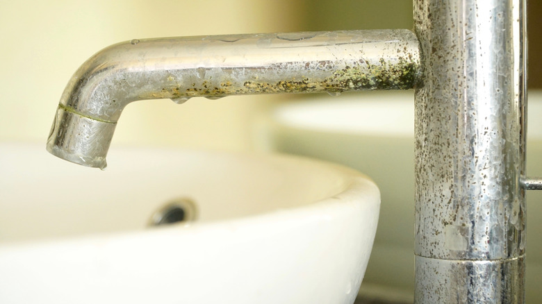 Build-up on kitchen faucet