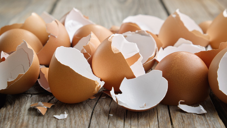 broken egg shells on counter