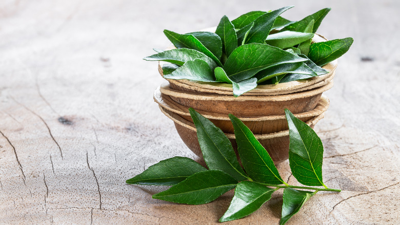 Fresh curry leaves in bowl