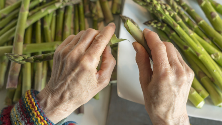 Two hands snapping an asparagus spear in half