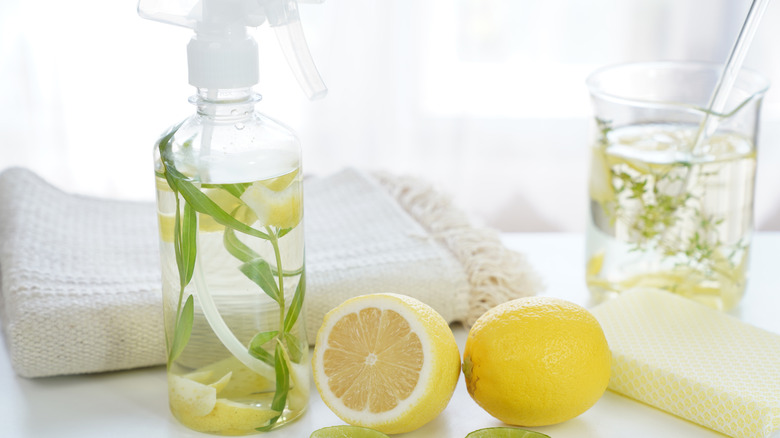 A jar of vinegar with thyme and a spray bottle of vinegar with sage and lemon peels sit next to sliced lemons