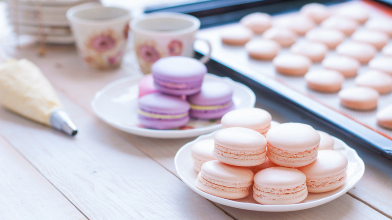 Plates and baking sheet of macarons