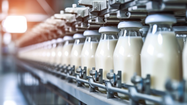 Bottle of milk in factory