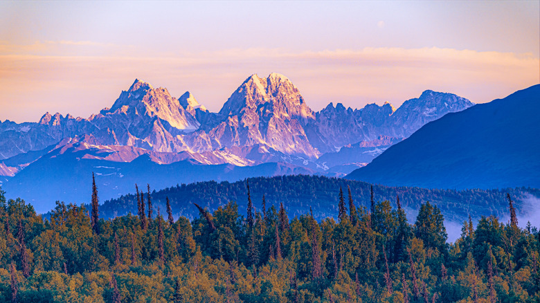 An landscape image of Denali mountain.