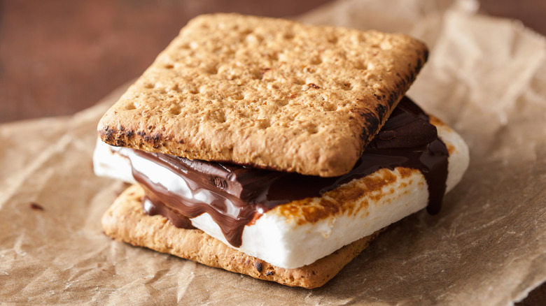 A s'more using graham crackers.