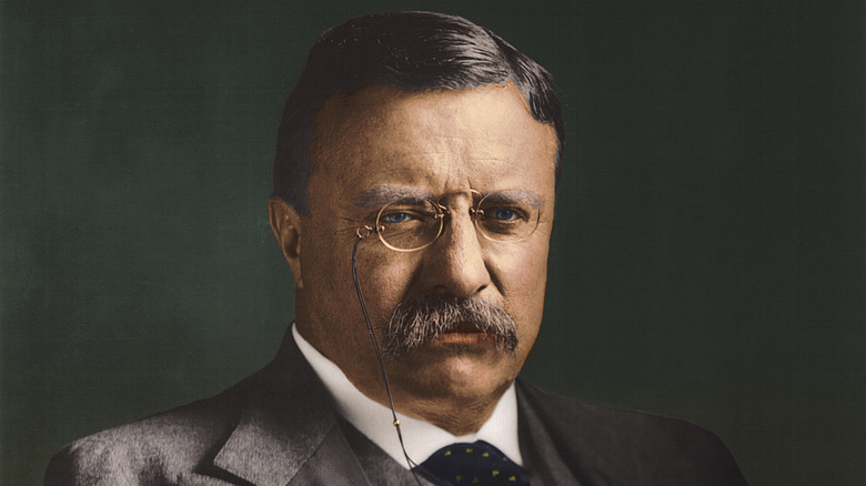 Illustrated portrait of U.S. President Teddy Roosevelt