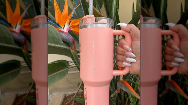 The first collaboration cup from Starbucks and Stanley