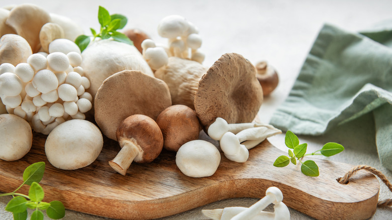 Different types of mushrooms on a wooden board