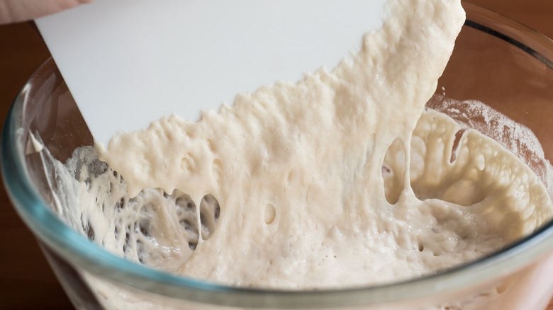 Bowl scraper sticky sourdough