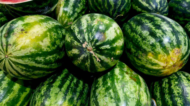 Watermelons available for sale at a market