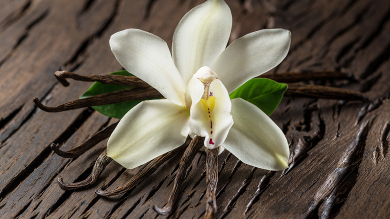 Vanilla orchid and dried bean pods on a wooden table