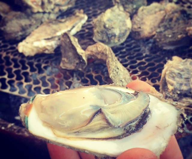 The Freshest Oysters You've Ever Eaten Are Growing In Taijian, Taiwan