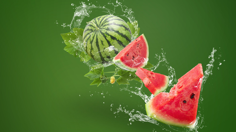 Watermelons splashing water on green background