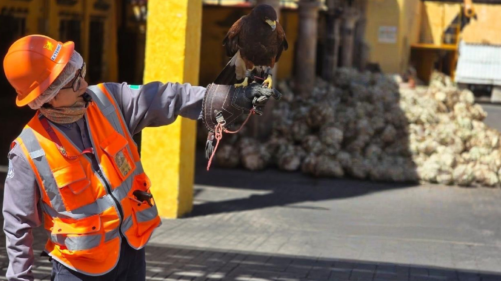 The Genius Reason Jose Cuervo Has A Hawk Employee