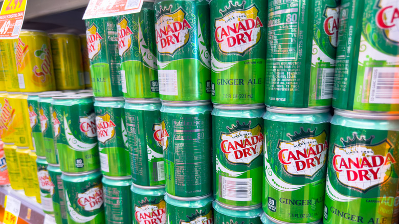 Canada Dry Ginger Ale cans lined up on store shelf