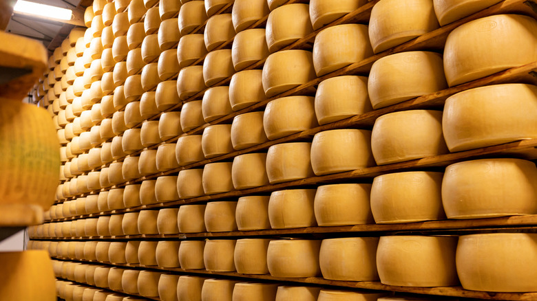 Parmigiano Reggiano seasoning in a warehouse before inspection