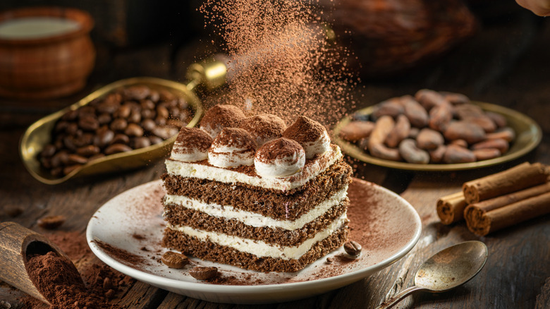 Chocolate cake with cocoa powder dusting