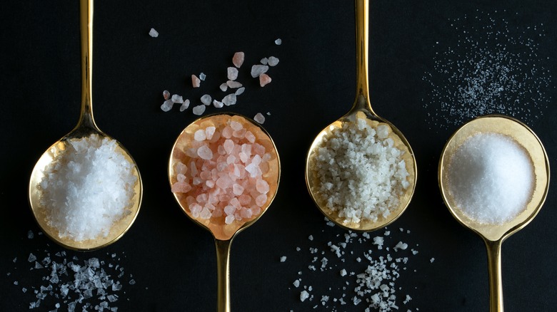 different types of salt on gold spoon