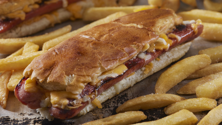 A butterflied hot dog rests inside a flattened, toasted bun, surrounded by french fries
