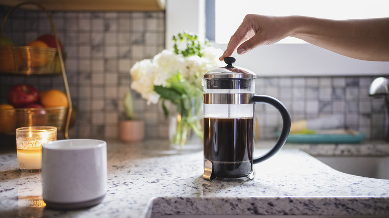 french press on a kitchen countertop