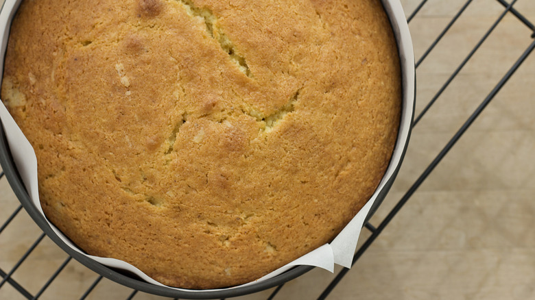 A round madeira cake cooling in its pan