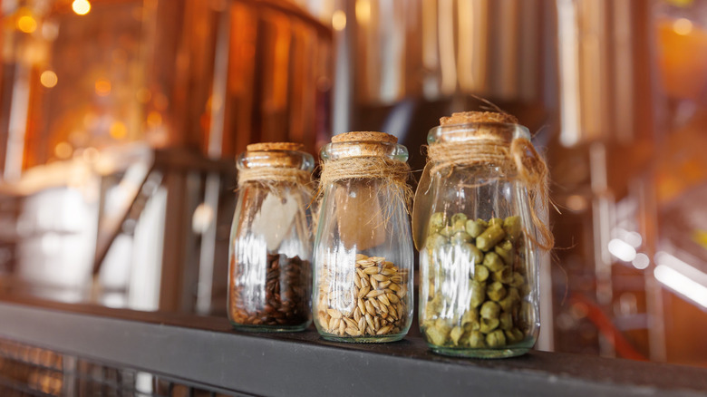 Grains and hops in jars inside a brewery
