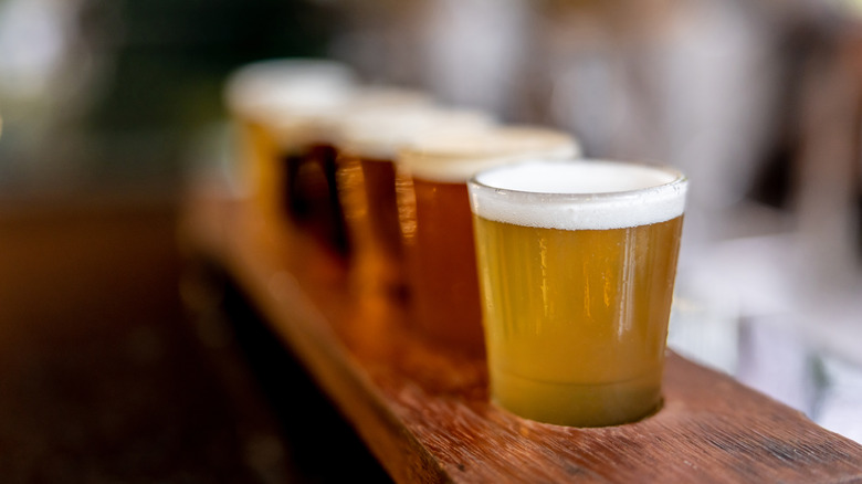 Beer tasting samples