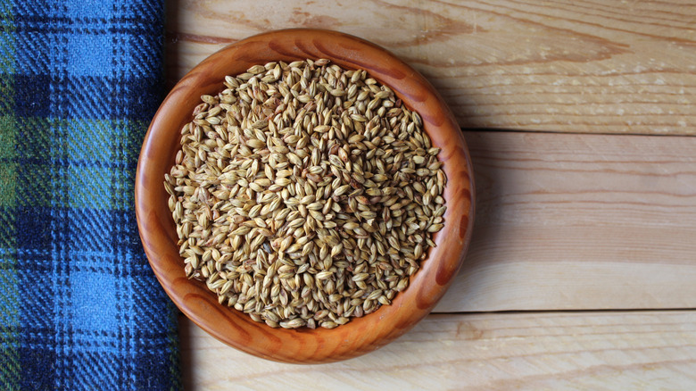 malted barley grains on table