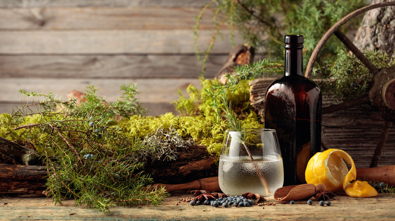 Glass of gin and botanicals