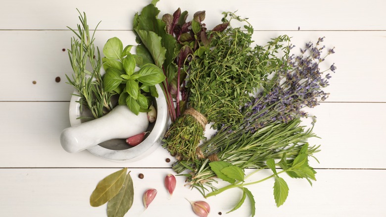 Fresh aromatic herbs with mortar and pestle