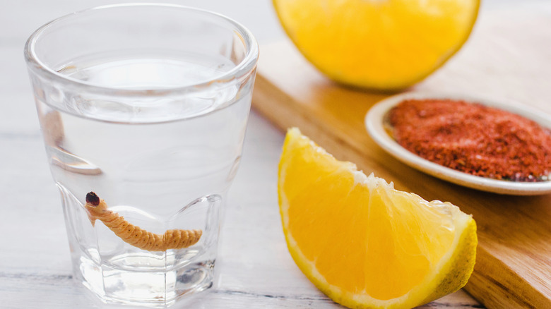 Worm in glass of mezcal