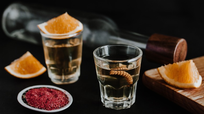 Shots of mezcal with worm
