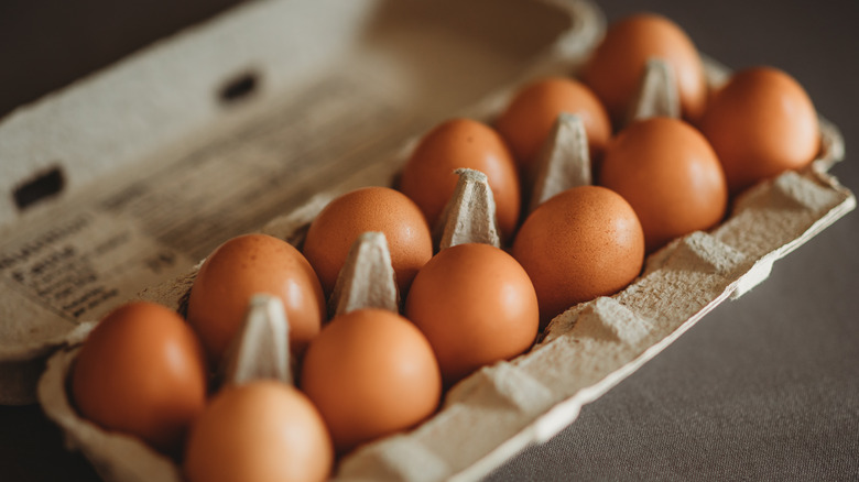 Carton of brown eggs 